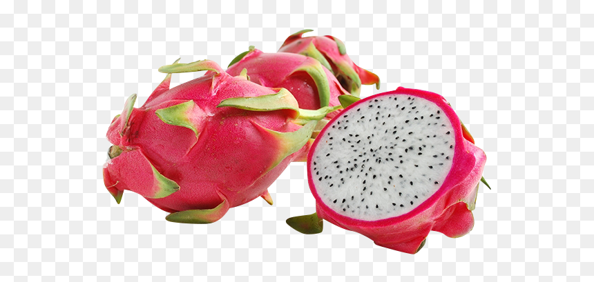 Dragon Fruit, Each"

 
 Data Rimg="lazy"
 Data Rimg - Strawberry And Dragon Fruit, HD Png Download - dragon fruit png