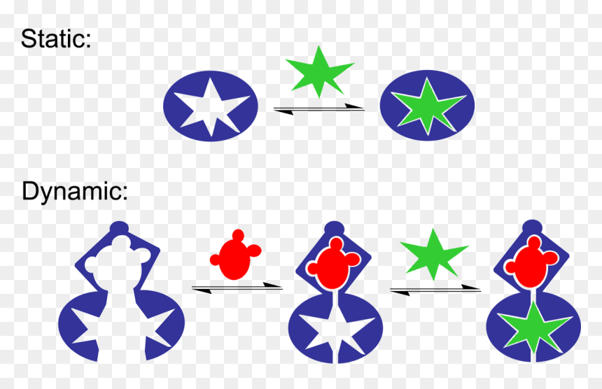 Molecular Recognition Static Vs Dynamic Cartoon - Static And Dynamic Molecular Recognition, HD Png Download - recognition png