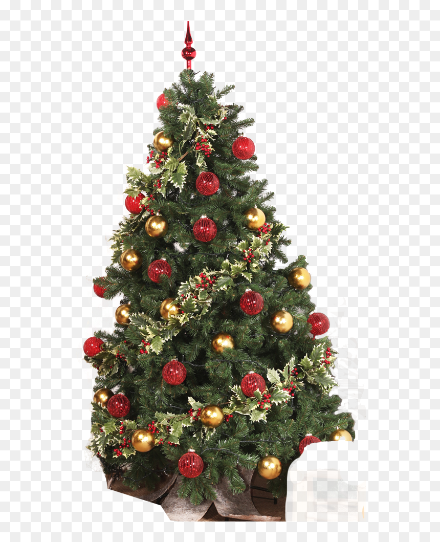 Árvore De Natal - Christmas Tree, HD Png Download - arvore de natal png