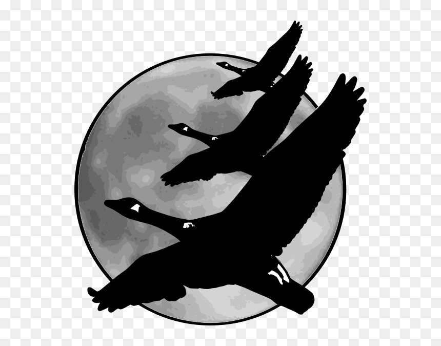 Transparent Moon - Birds On Moon Clipart Black & White, HD Png Download - moon .png