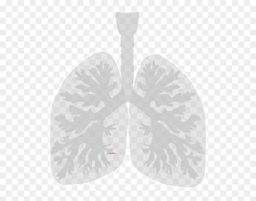 Lung Cancer, HD Png Download - lung png