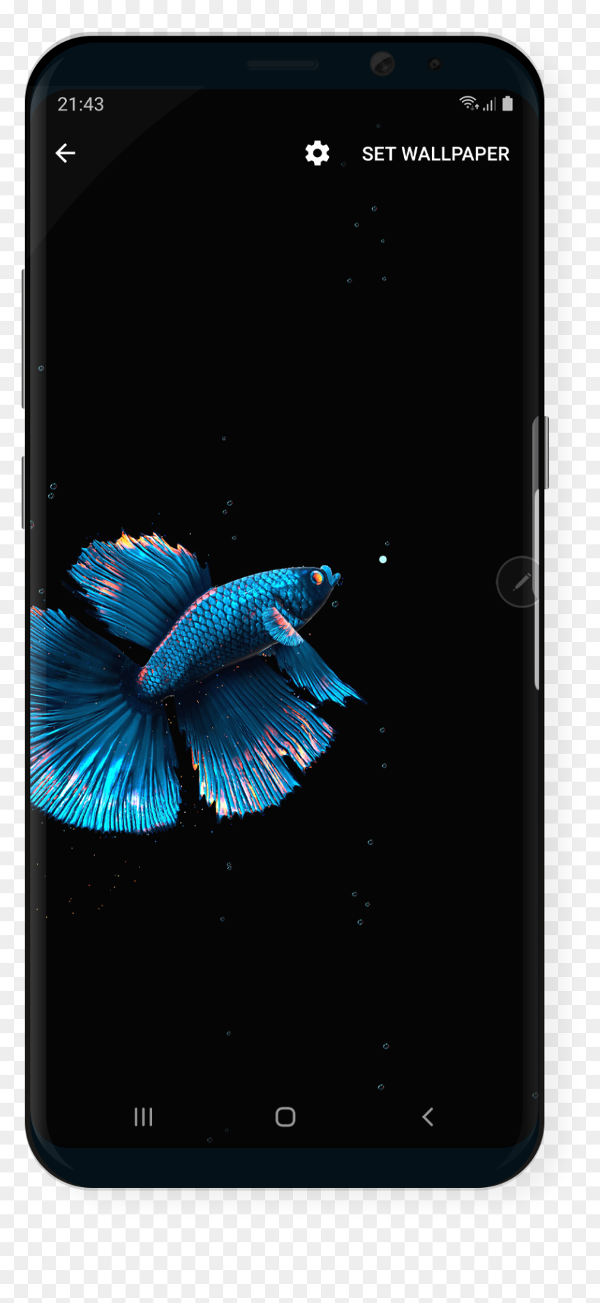 Smartphone, HD Png Download - beta fish png