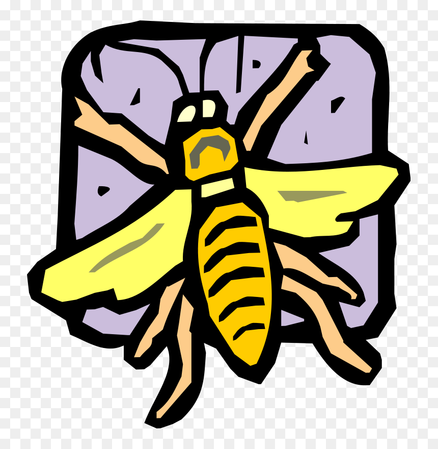 Free Vector Insect - Bees, HD Png Download - bee vector png