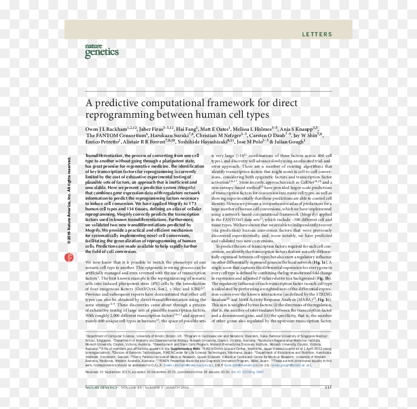 Document, HD Png Download - human cell png