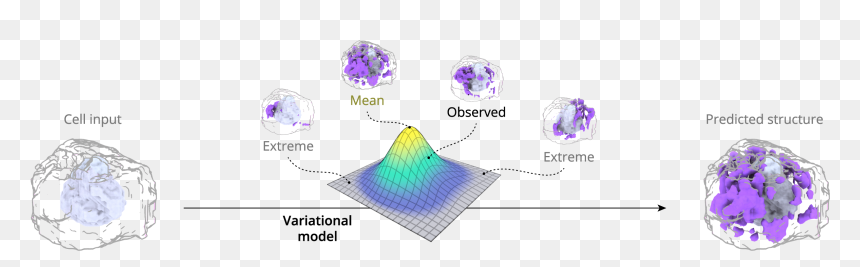 Picture - Probabilistic Model, HD Png Download - human cell png