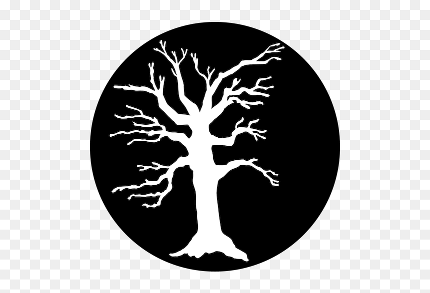 Apollo Scary Tree - White Scary Tree Png, Transparent Png - scary tree png