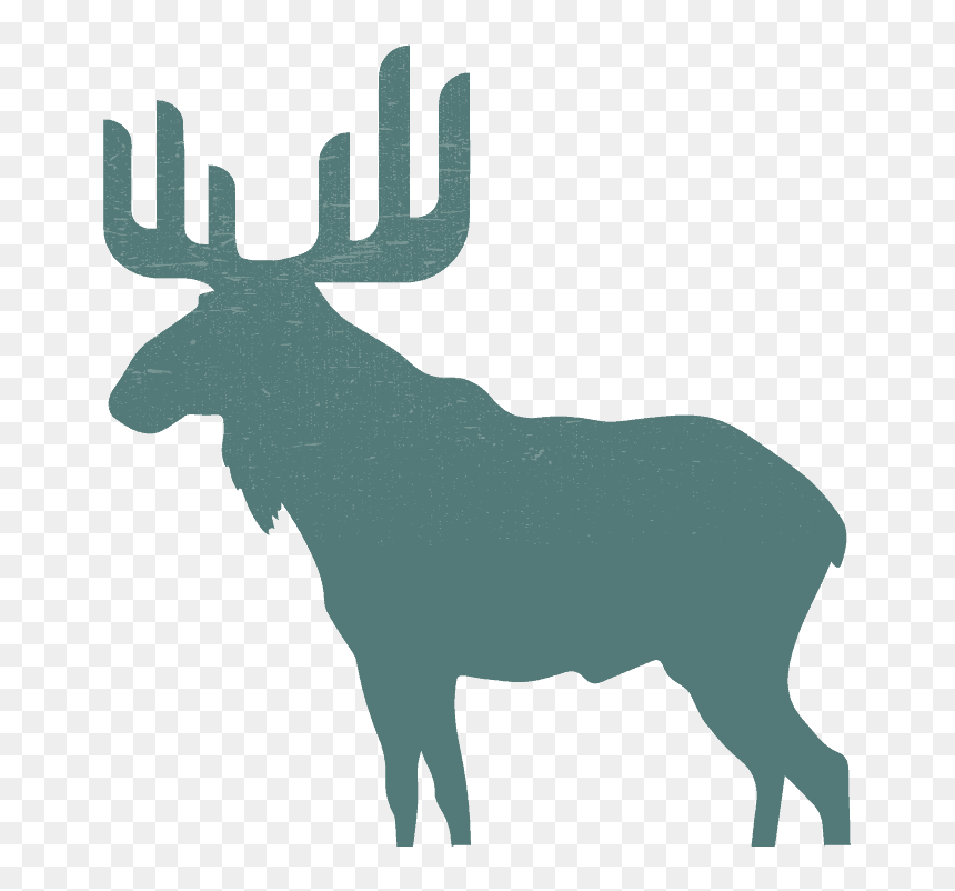 Moose Engineers Building Mep, Commissioning, It/security - Moose Black And White Clipart, HD Png Download - moose antlers png