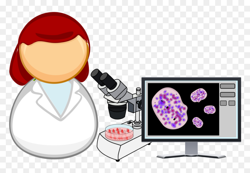 Human - Cell Booklet, HD Png Download - human cell png