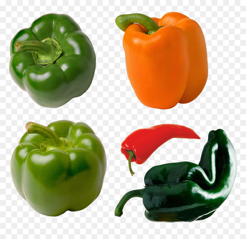 Pepper Orange, HD Png Download - chili peppers png