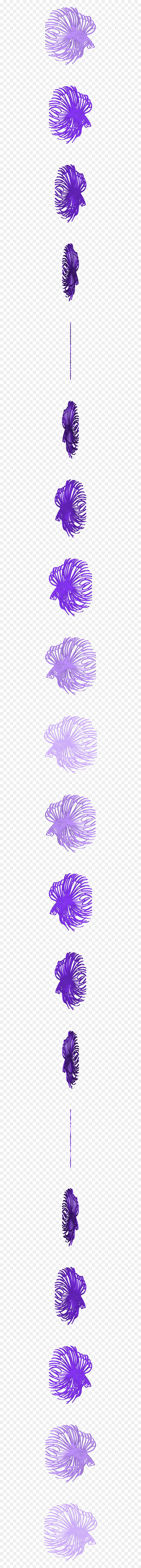 Marine Invertebrates, HD Png Download - beta fish png