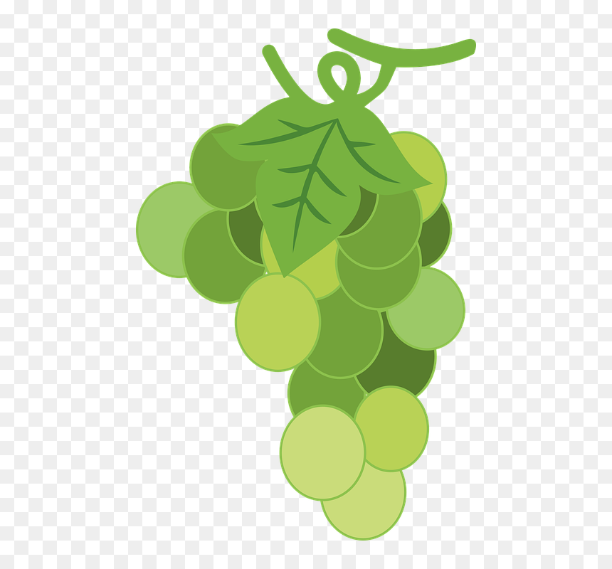 Grapes, Green Grapes, Fruit, Food, Healthy, Yellow - Fruit, HD Png Download - grapes vector png