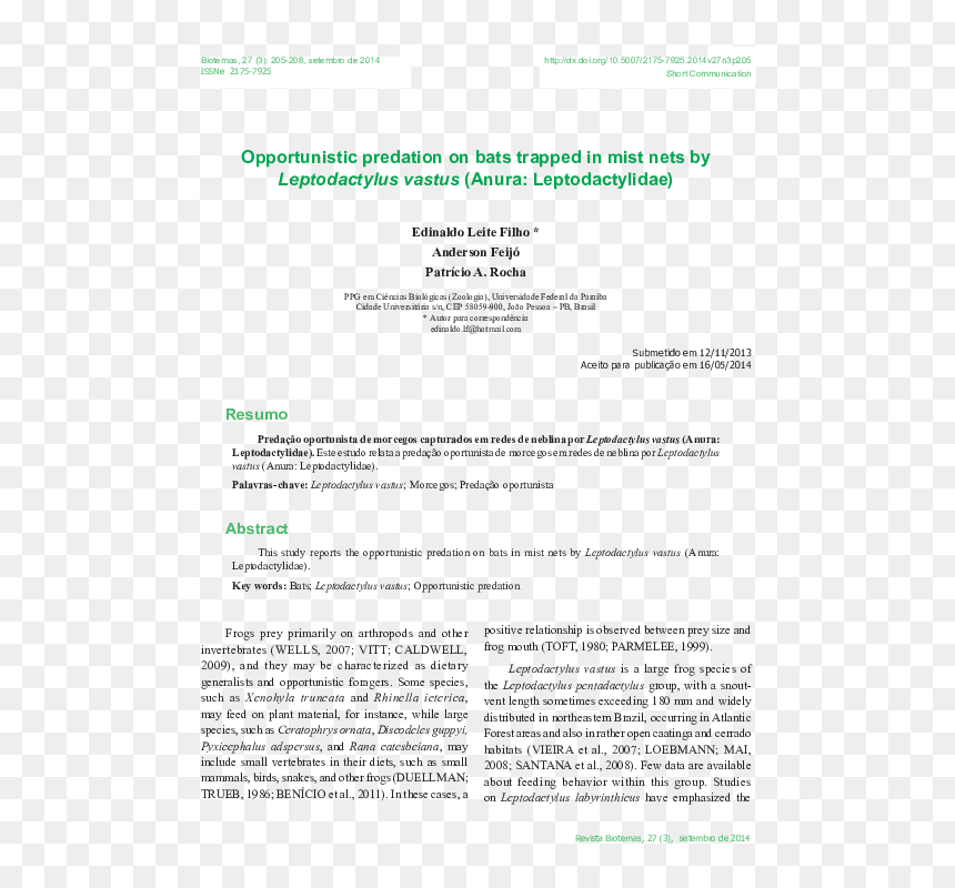 Document, HD Png Download - neblina png