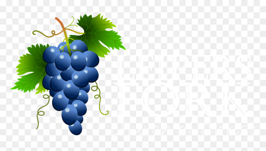 Blue Grapes Clipart, HD Png Download - grapes vector png