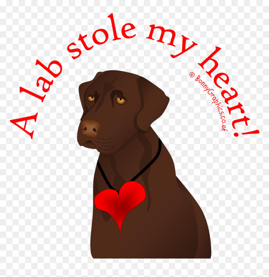 Iphone Business Card, HD Png Download - chocolate lab png