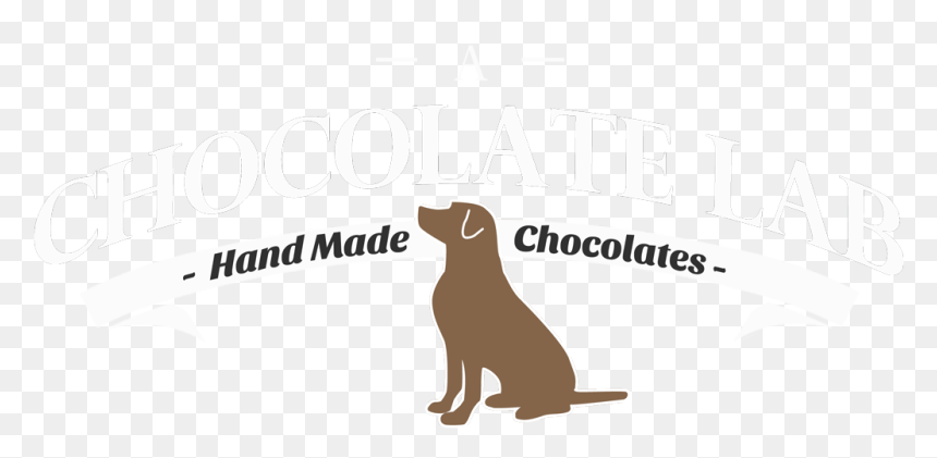 Conscious Consumers, HD Png Download - chocolate lab png