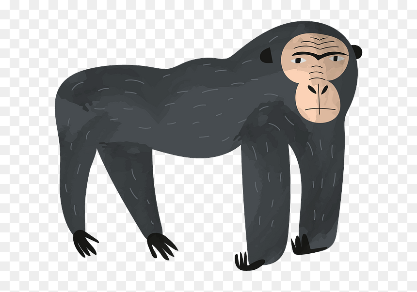 Cartoon, HD Png Download - gorilla clipart png