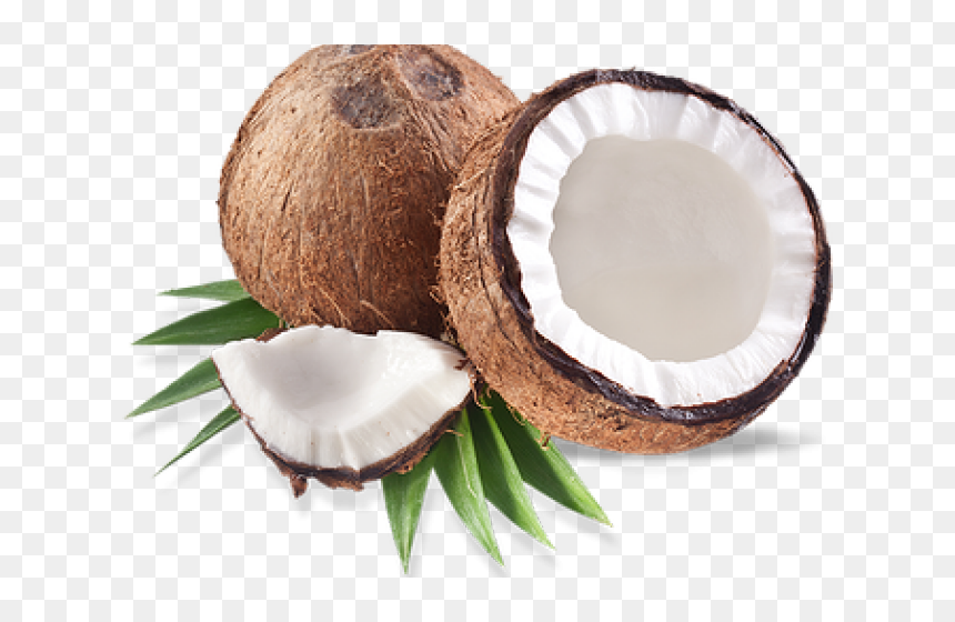 Coconut Png Transparent Images - Dry Coconut, Png Download - coconut clipart png