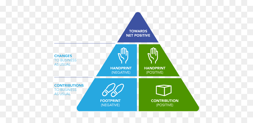2019 04 23 L Infographic Pursuitnetpositive P31 - Brand Purpose Vision Mission, HD Png Download - handprints png