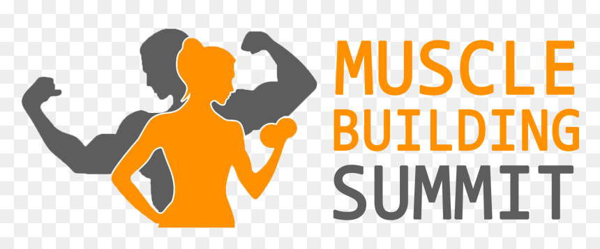 Summit Muscle Workout Chart, HD Png Download - muscular arm png