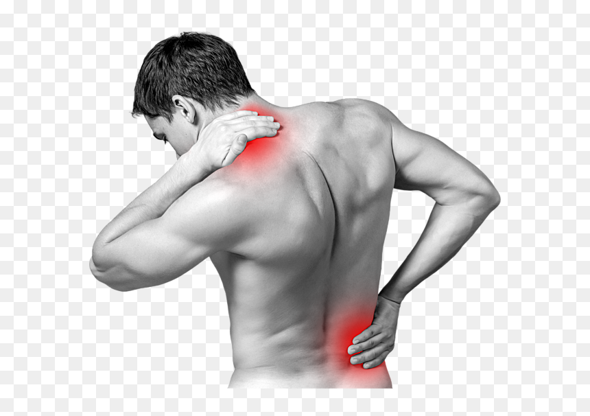 Osteoarthritis Hd, HD Png Download - muscular arm png
