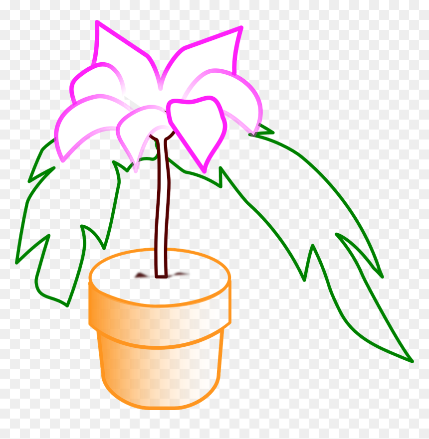 Potted Flowers Png, Transparent Png - potted flowers png