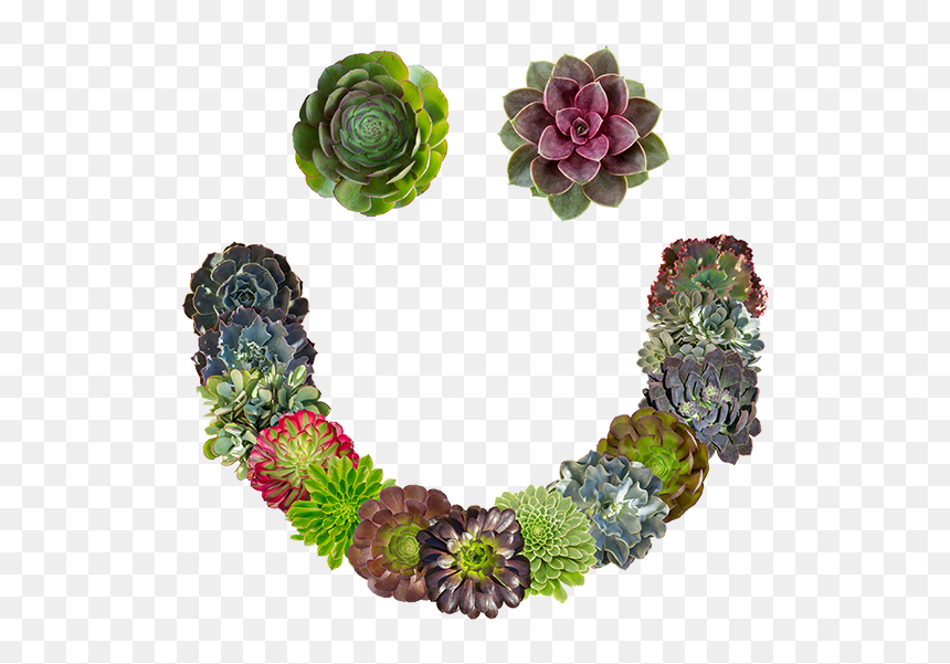 Artificial Flower, HD Png Download - potted flowers png