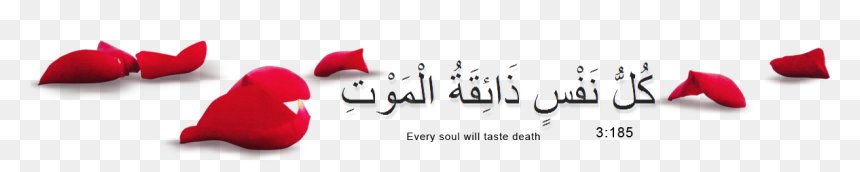 Calligraphy, HD Png Download - marlboro png