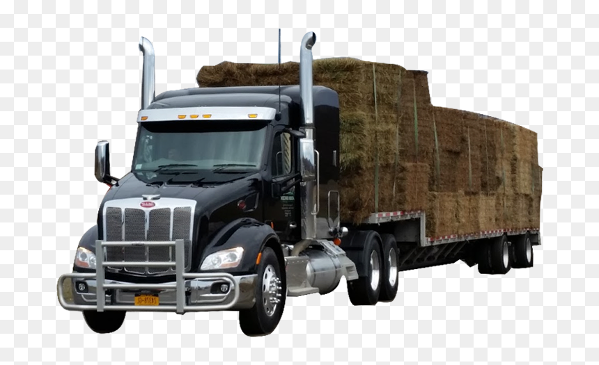 Delivery Truck Unloading Png- - Trailer Truck, Transparent Png - free shipping truck png