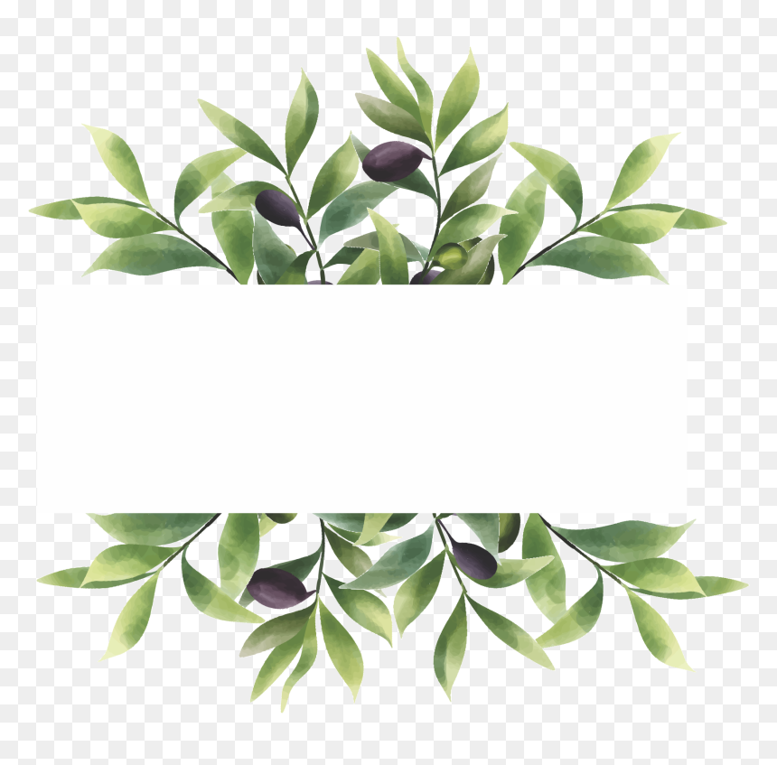 Houseplant, HD Png Download - hawaiian flower vector png