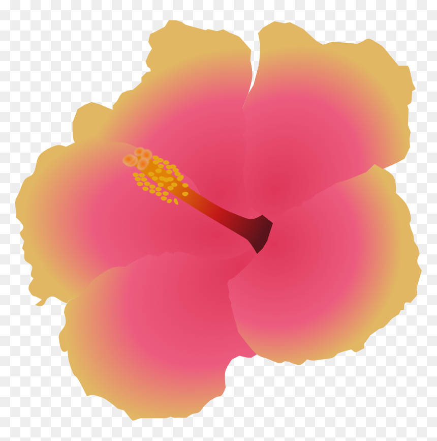 Hibiscus - Hawaiian Hibiscus, HD Png Download - hawaiian flower vector png