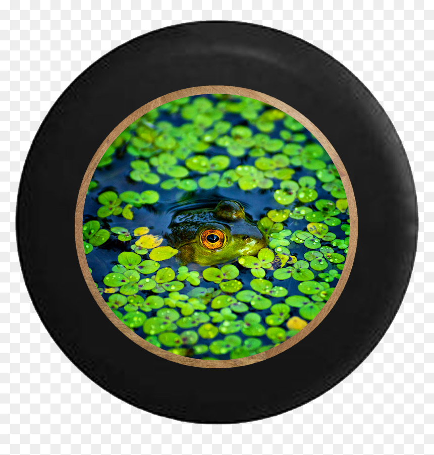 Transparent Lily Pads Png - Admiring Bog, Png Download - lily pads png