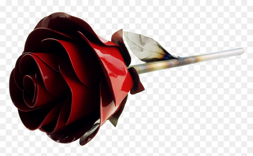 Stainless Rose Fire Engine Red - Red Rose Fire Png, Transparent Png - fire engine png