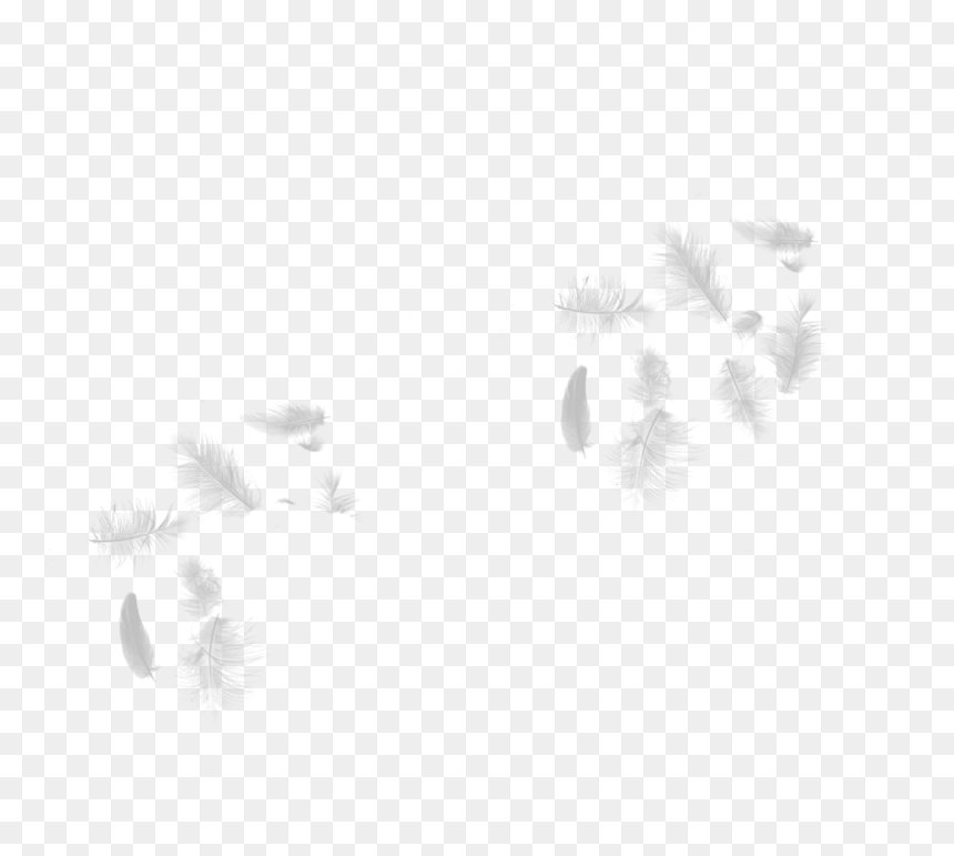 Transparent Purple Feather Png - Feathers Png, Png Download - feather png transparent