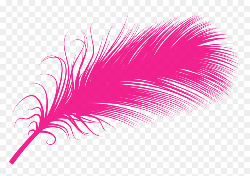 Purple Feather Png -purple Feather Png, Transparent - Illustration, Png Download - feather png transparent