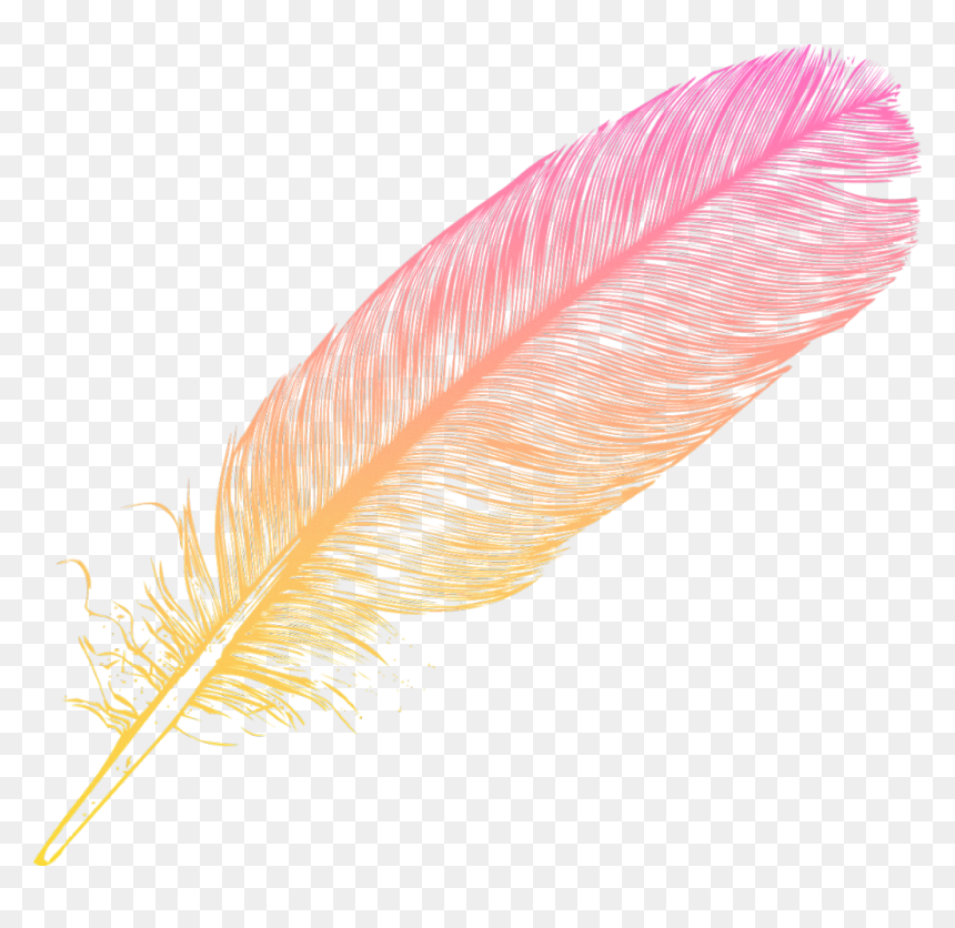 #ombre #feather #feathers #native #boho #pretty #decals - Oval, HD Png Download - feather png transparent