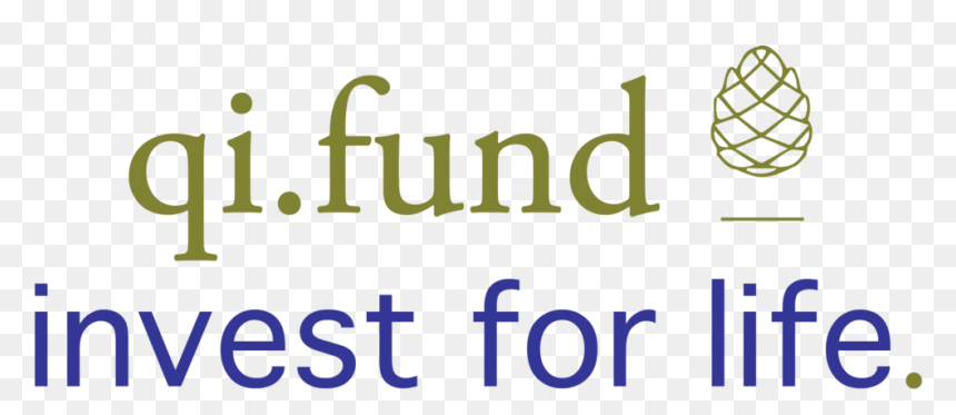 Qifundifl, HD Png Download - return on investment png