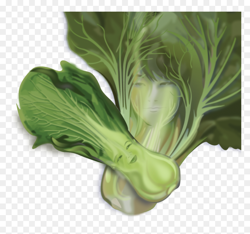 Chard, HD Png Download - bok choy png