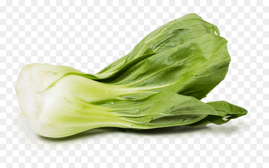 Chinese-cabbage - Shanghai Bok Choy, HD Png Download - bok choy png