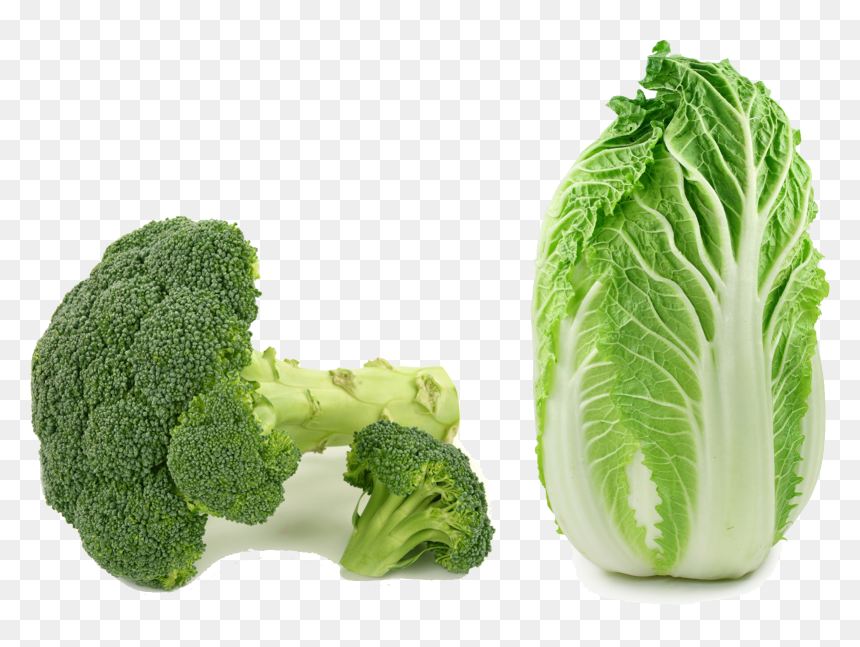 Transparent Kale Clipart - Chinese Vegetables Png, Png Download - bok choy png