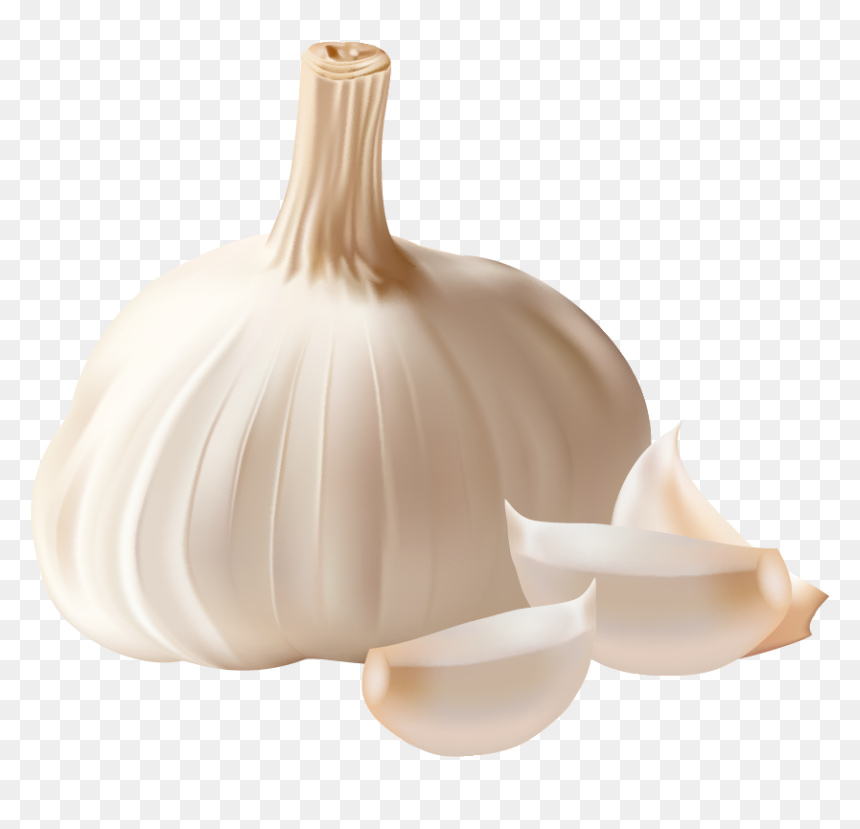 Garlic Png, Transparent Png - vegetales png