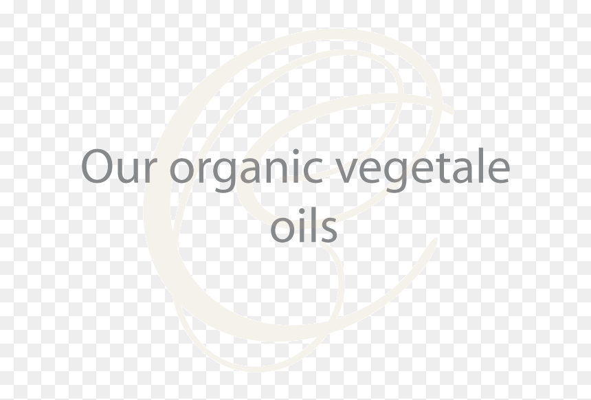 Illustration, HD Png Download - vegetales png