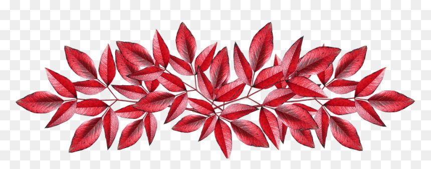 Transparent Pink Autumn Png, Png Download - bamboo leaves png
