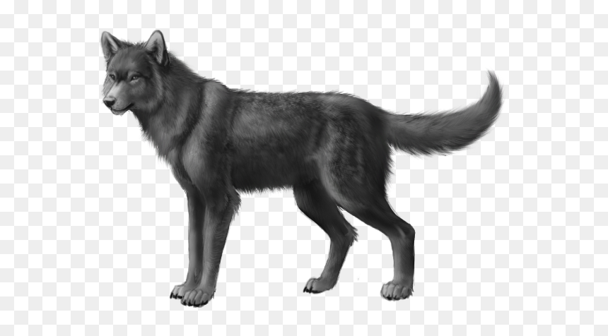 Black African Wild Dog, HD Png Download - wolf png image