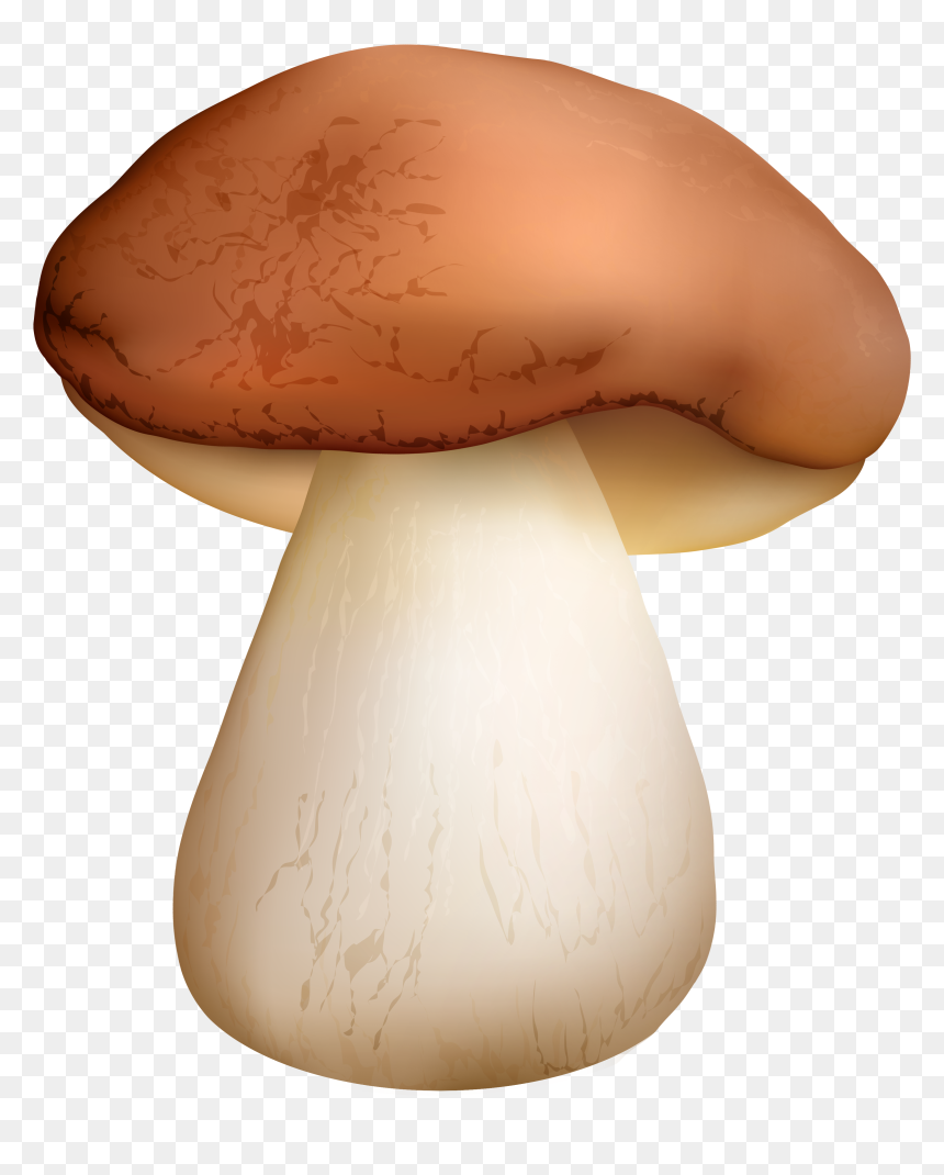 Boletus Mushroom Png Clipart - Mushrooms Png, Transparent Png - penny clipart png
