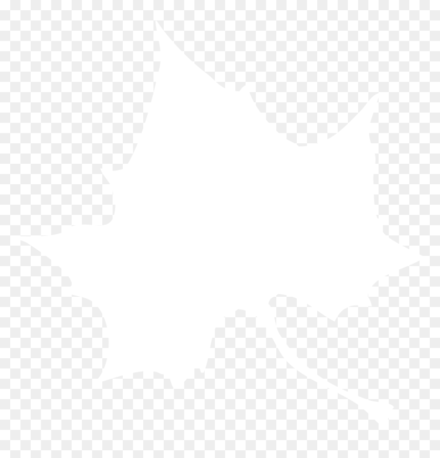 Samsung Png Logo White, Transparent Png - sycamore tree png