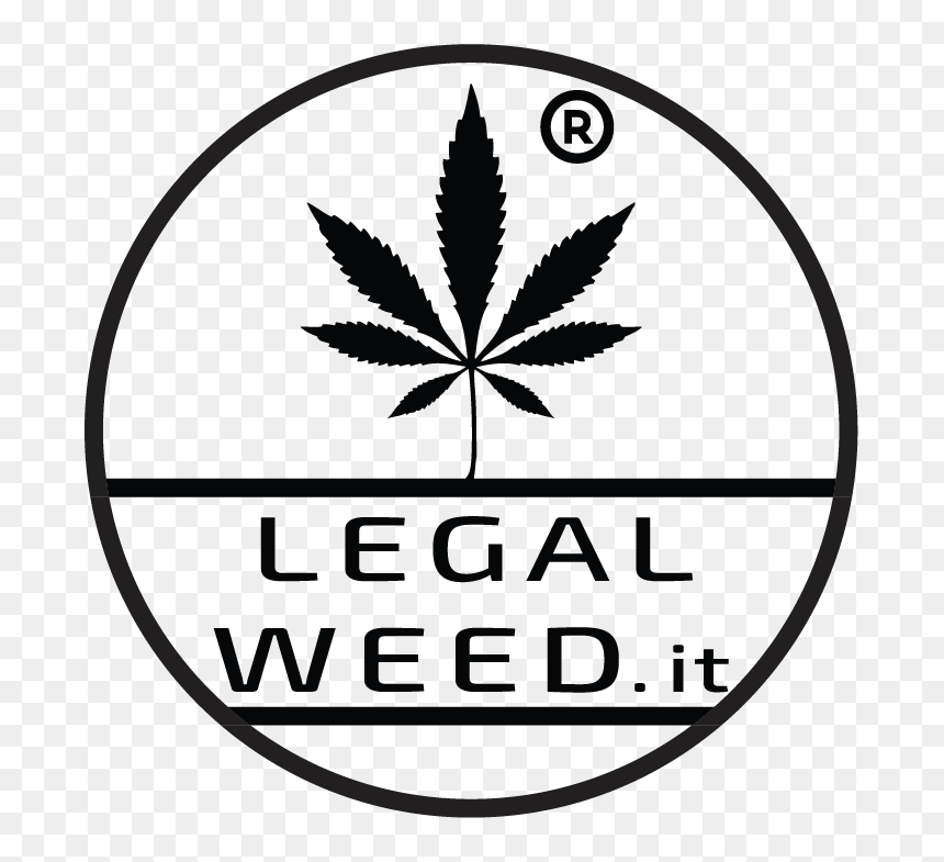 Legal Weed Cannabis Light - Marijuana Leaf, HD Png Download - real weed leaf png