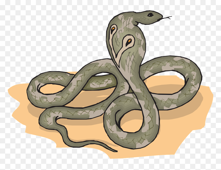 Animals, HD Png Download - cobra snake png