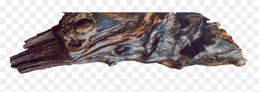 Knottywood-1000d, HD Png Download - tree log png