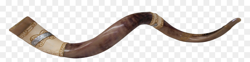 Shofar Png File - Shofar, Transparent Png - earthworm png