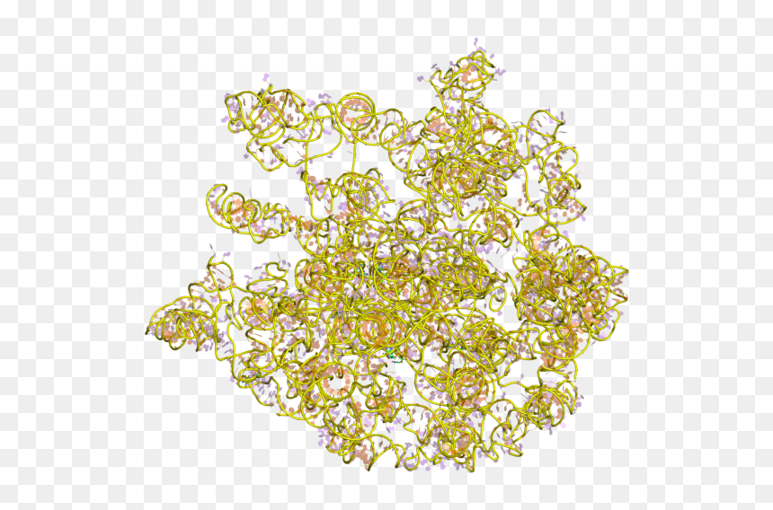 Pdb 1c2w Ebi - Arnr 23s, HD Png Download - crying eyes png